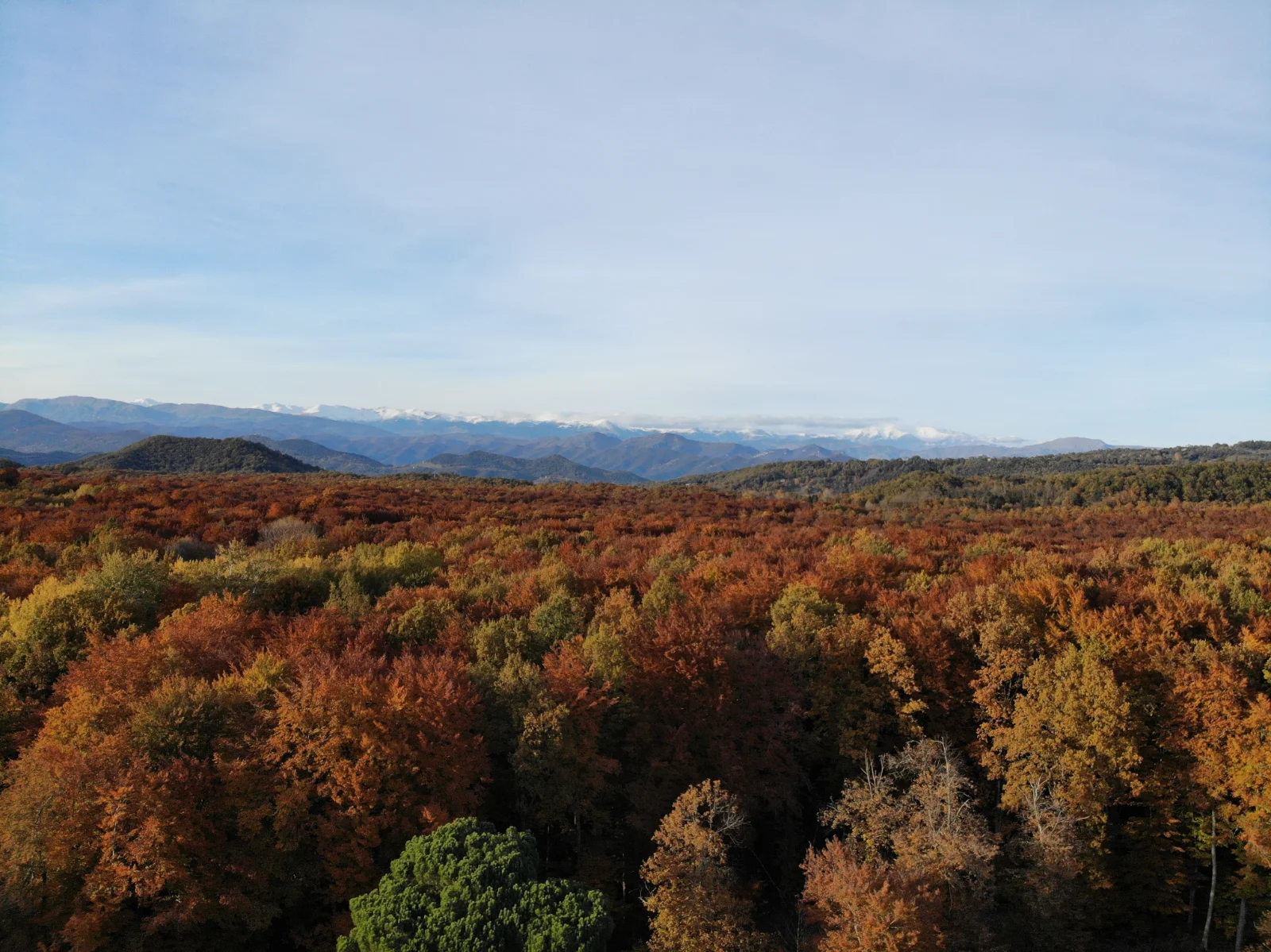 Fageda d'en Jordà: walking routes, access and parking