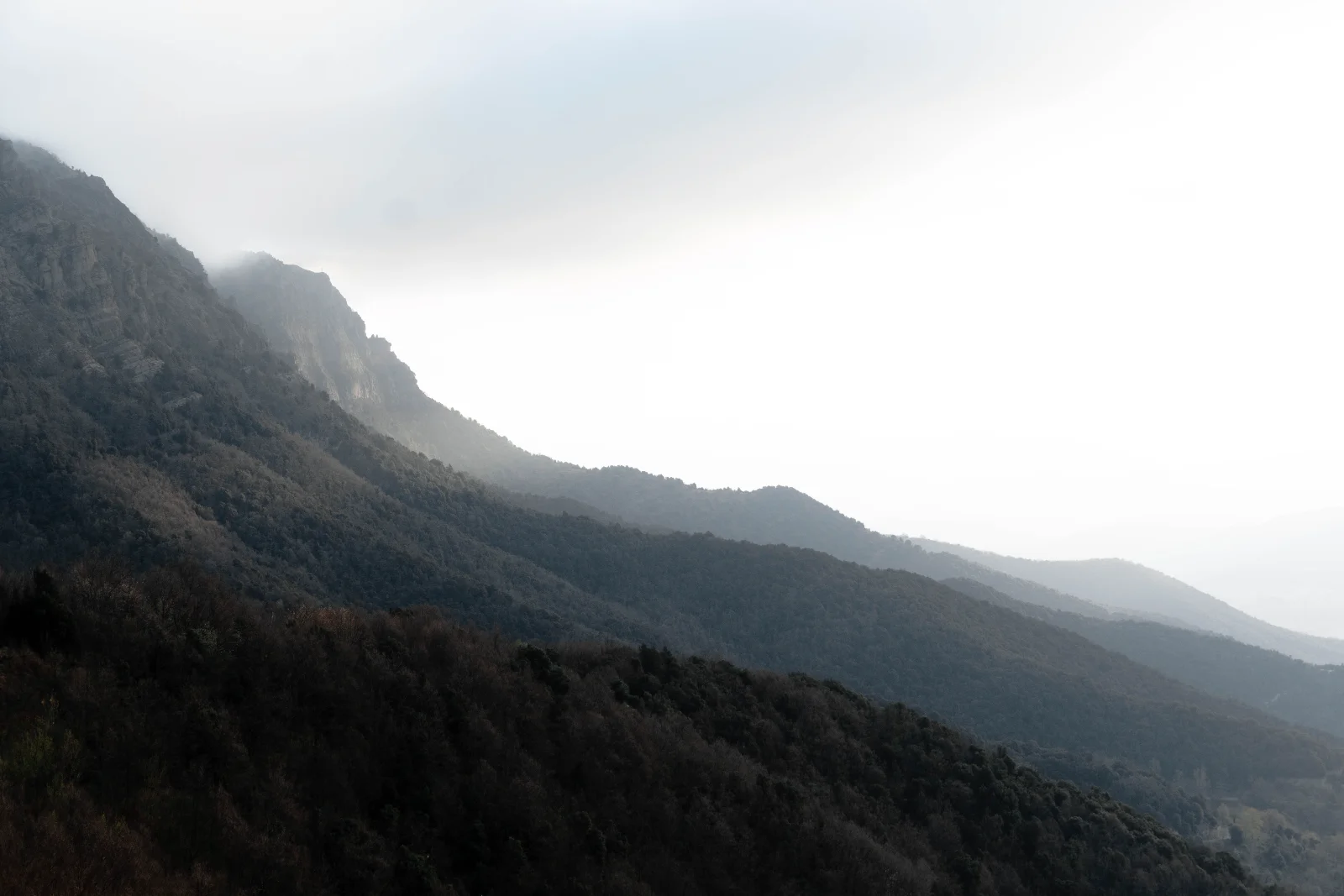 Puigsacalm from Coll de Bracons: route, difficulty and advice